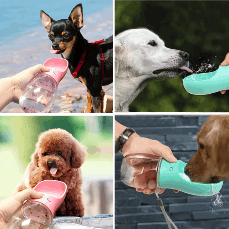Schüssel und Flasche für Hunde
